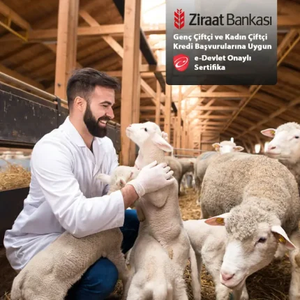Küçükbaş Hayvancılık Eğitimi ve Sertifikası (Ziraat Bankası Kredi Başvurusuna Uygun)