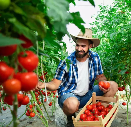 Organik Tarım Yöneticisi Eğitimi ve Sertifikası