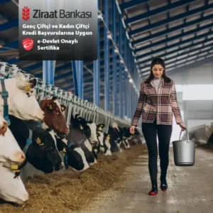 Süt Sığırcılığı Eğitimi ve Sertifikası (Ziraat Bankası Kredi Başvurusuna Uygun)
